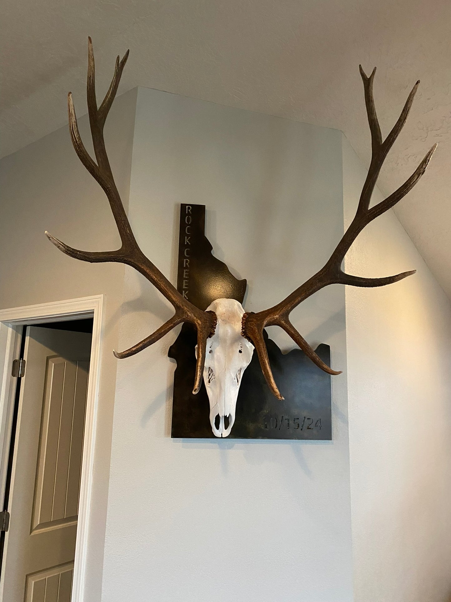 State of Idaho Big Game Euro Skull Mount