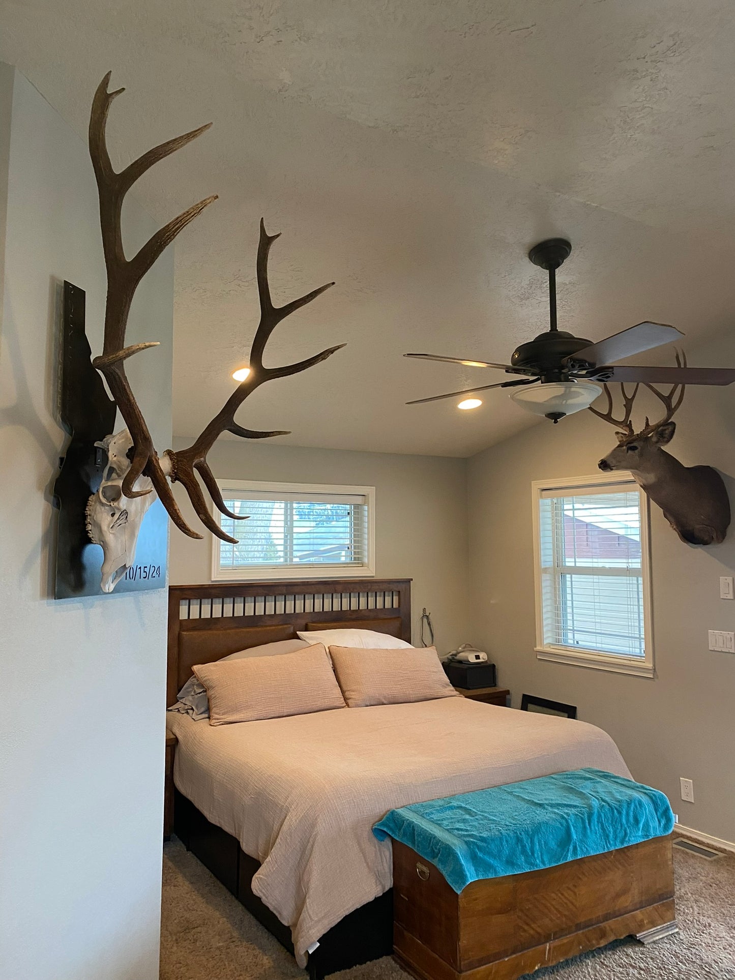State of Idaho Big Game Euro Skull Mount